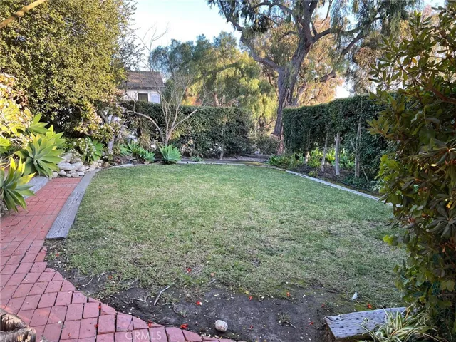 Lower Front Yard from Driveway