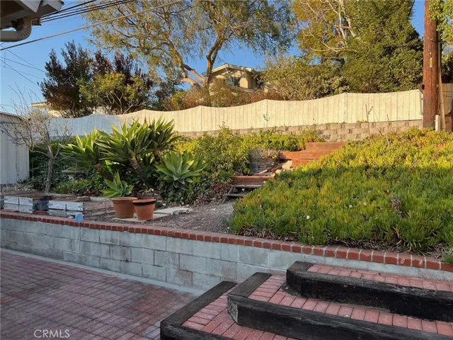Back Garden