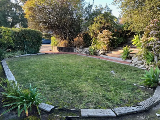 Lower Front Yard