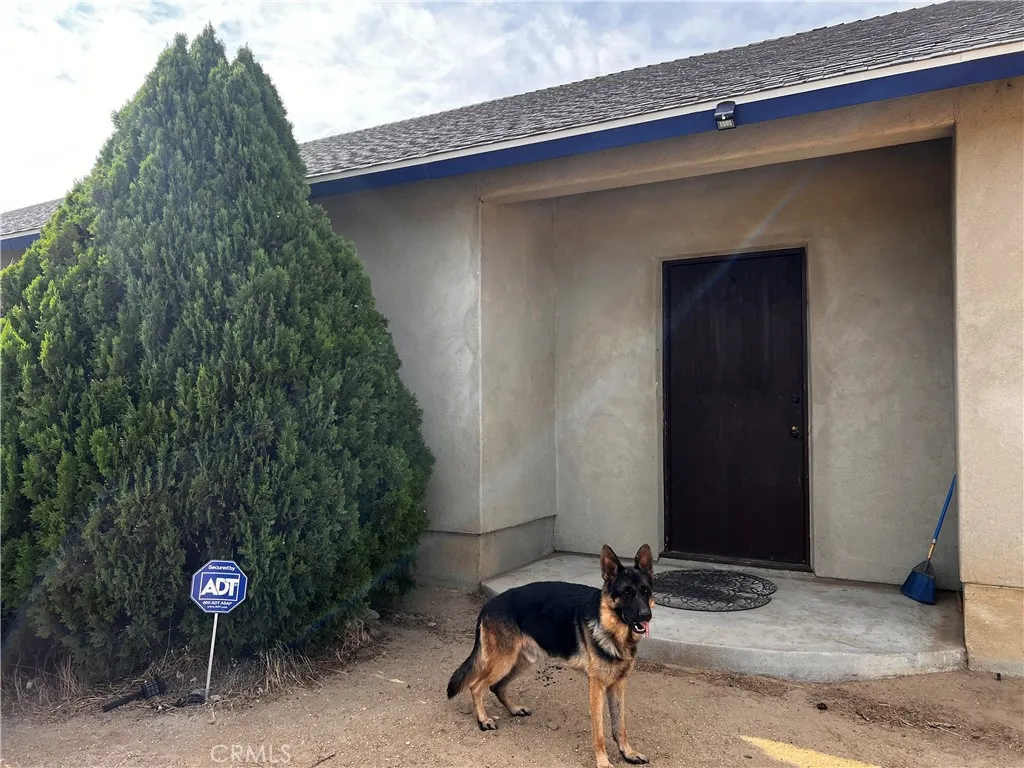 36646 92nd Street E, Littlerock, California 93543 home-pic-31