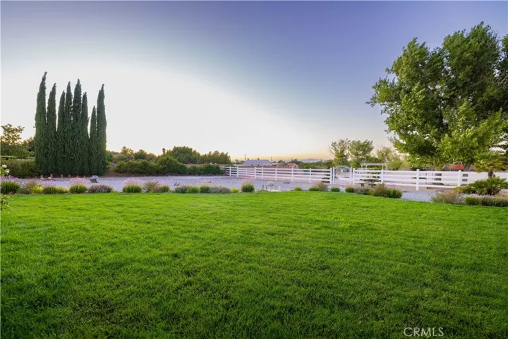 Large Grass Area