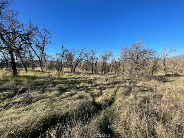 5 Tinkers Penny Lane, Catheys Valley, California 95306
