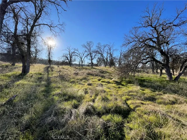 5 Tinkers Penny Lane, Catheys Valley, California 95306