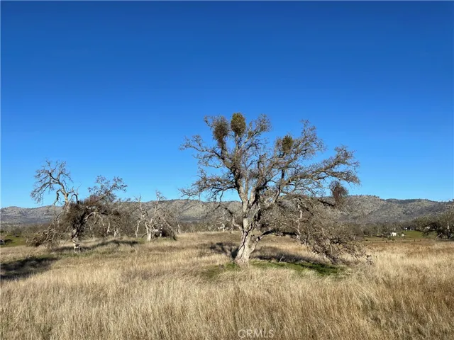5 Tinkers Penny Lane, Catheys Valley, California 95306