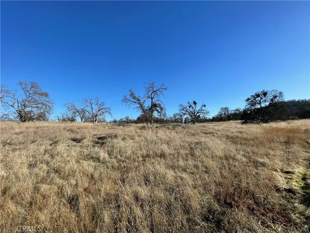 5 Tinkers Penny Lane, Catheys Valley, California 95306