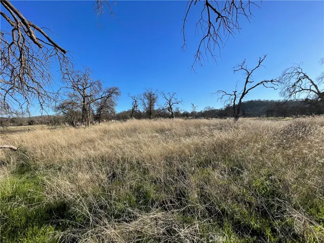 5 Tinkers Penny Lane, Catheys Valley, California 95306