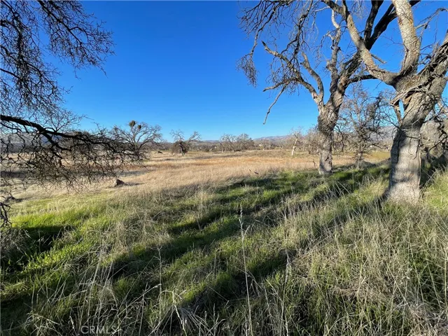5 Tinkers Penny Lane, Catheys Valley, California 95306