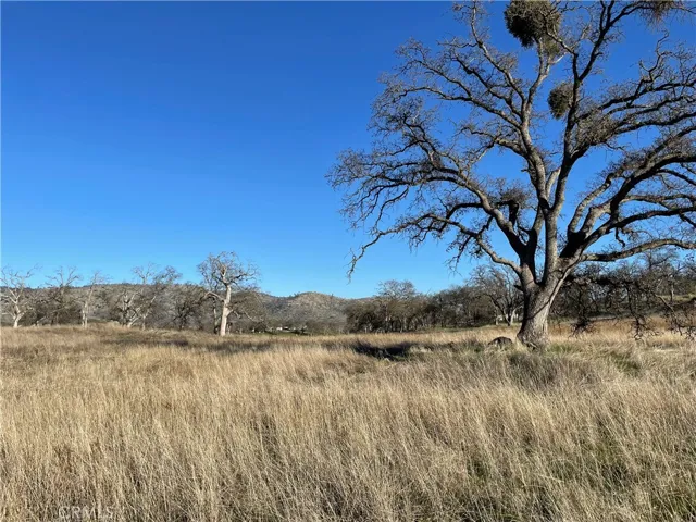 5 Tinkers Penny Lane, Catheys Valley, California 95306