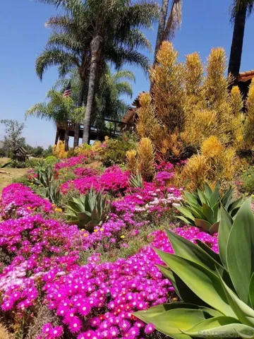 13602 Indian Springs Dr, Jamul, California 91935