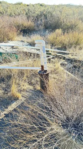 0 Forrest Gate Rd., Campo, California 91906