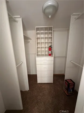 Wak in closet