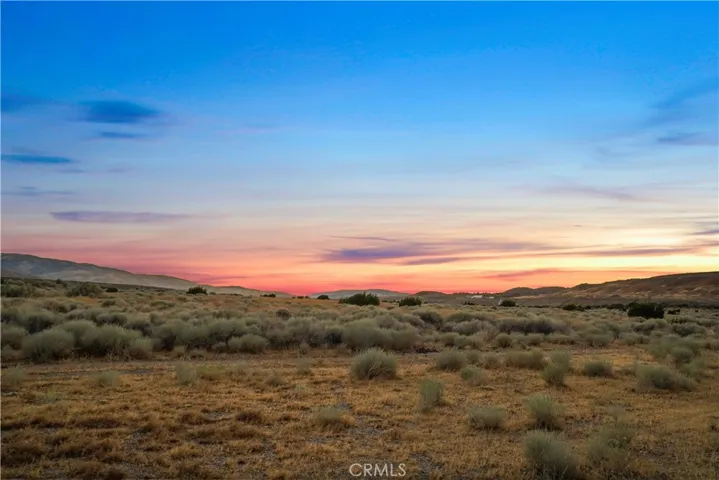 37239 Bianca Road, Palmdale, California 93551