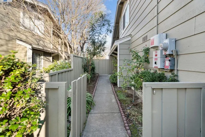 Side Yard
