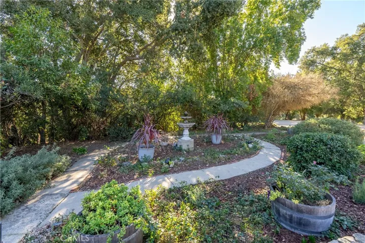 Garden area