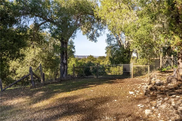 Olive and Oak trees