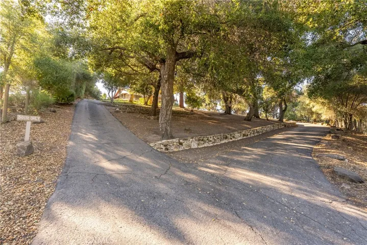 Circular Driveway