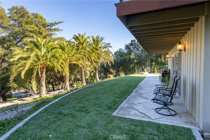 Grass Area with plenty of sitting options