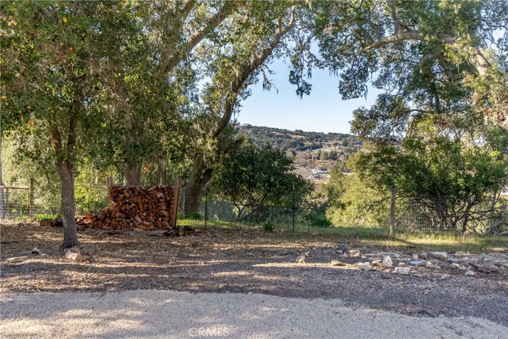 Wood Pile