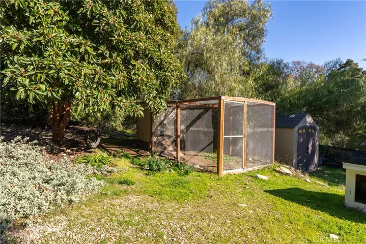 Chicken Coop