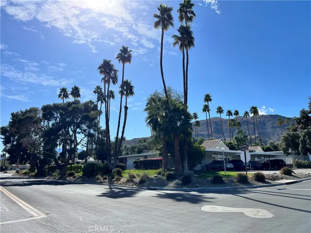 Another street view of Chalet Palms.