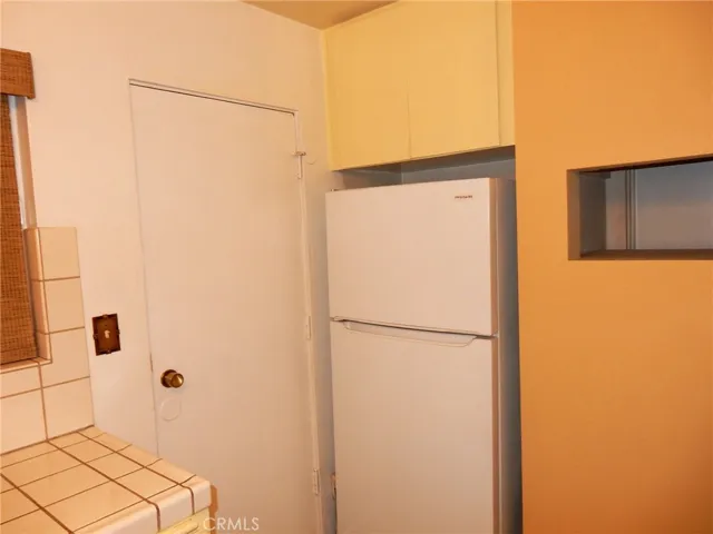 Kitchen fridge and door leading to back patio.
