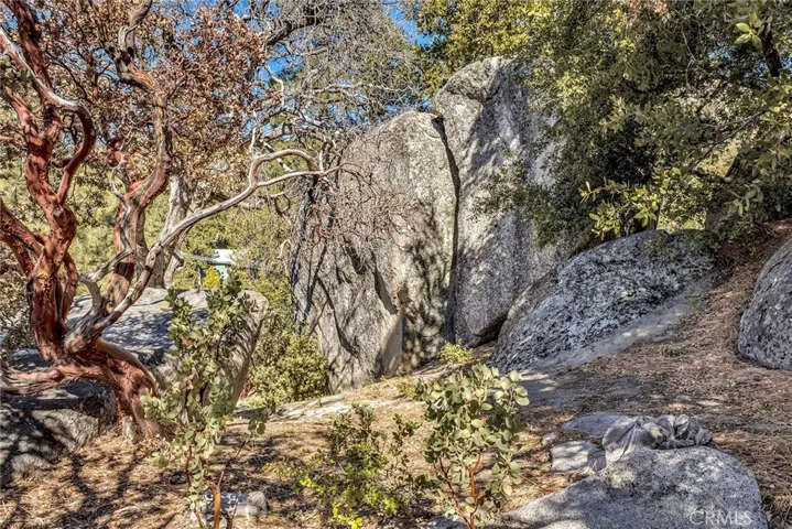 25430 Fernleaf Drive, Idyllwild, California 92549