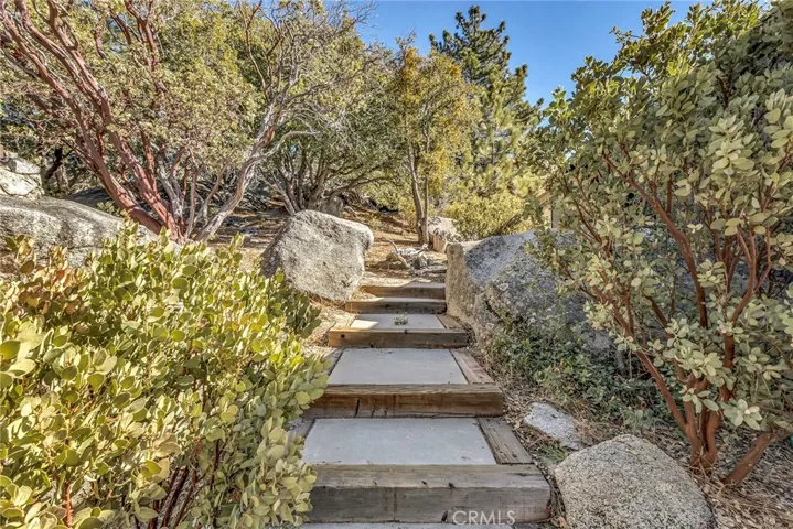25430 Fernleaf Drive, Idyllwild, California 92549