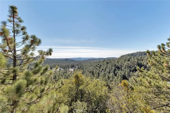 25430 Fernleaf Drive, Idyllwild, California 92549