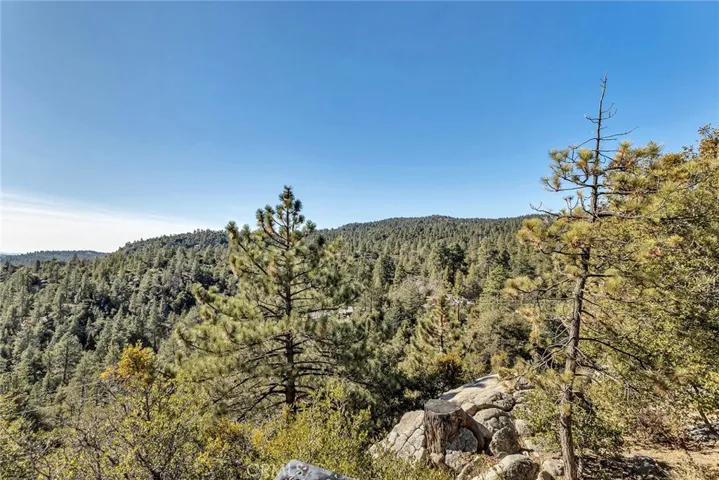 25430 Fernleaf Drive, Idyllwild, California 92549