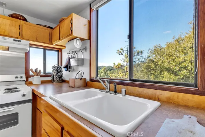 25430 Fernleaf Drive, Idyllwild, California 92549
