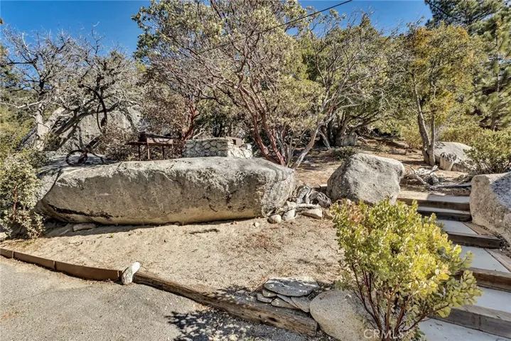 25430 Fernleaf Drive, Idyllwild, California 92549