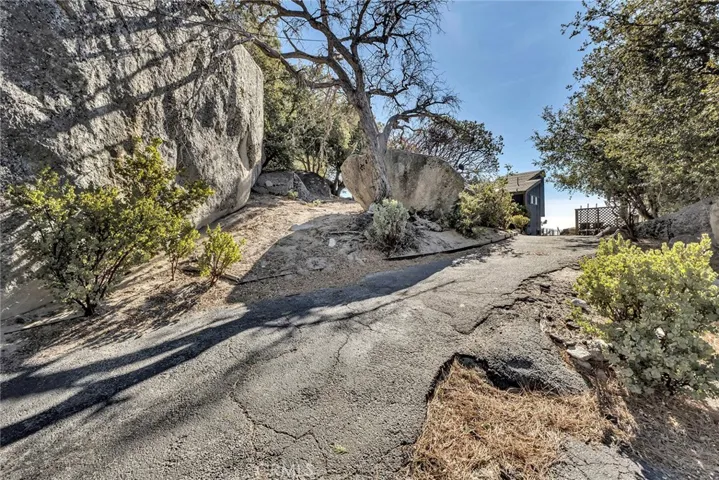 25430 Fernleaf Drive, Idyllwild, California 92549