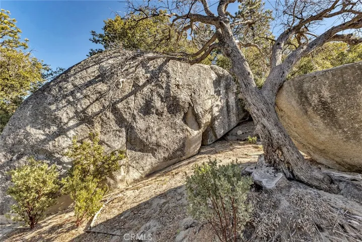 25430 Fernleaf Drive, Idyllwild, California 92549