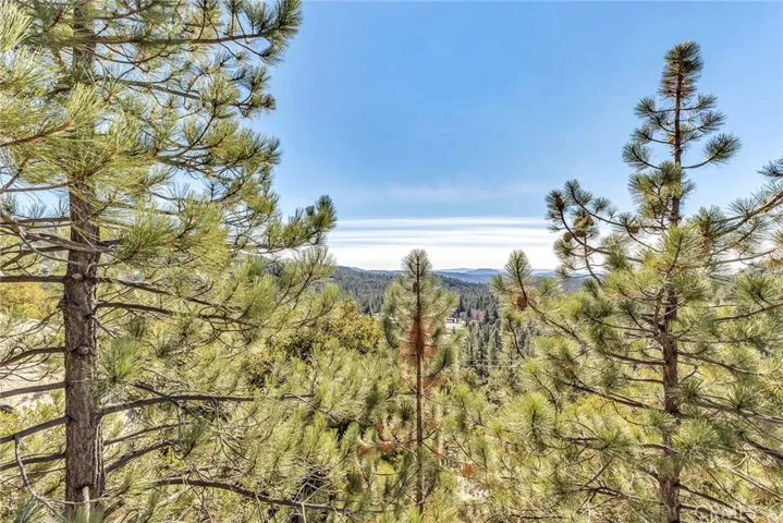 25430 Fernleaf Drive, Idyllwild, California 92549