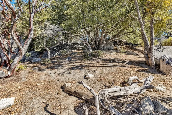 25430 Fernleaf Drive, Idyllwild, California 92549