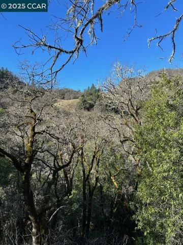 Landscape View