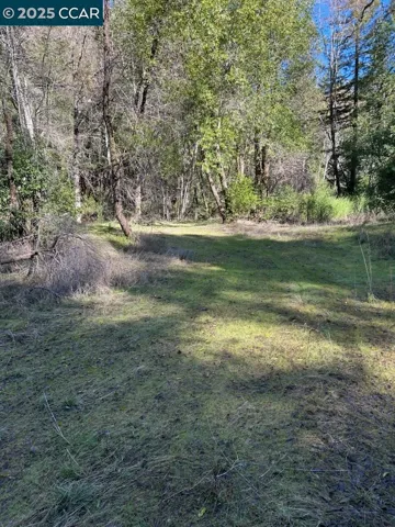 Main Meadow Left View