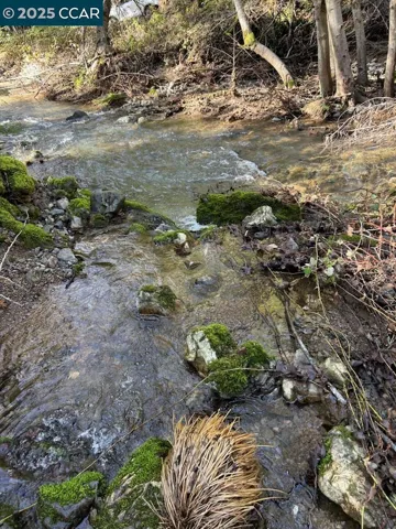 Merge of Both Creeks