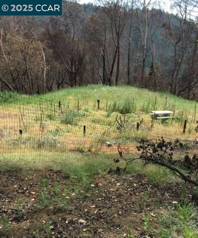 Shared Meadow with another owner - access through their road