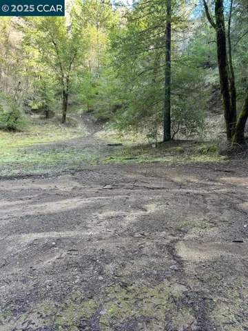 Main Meadow - Right View