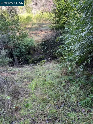 View of Second Meadow