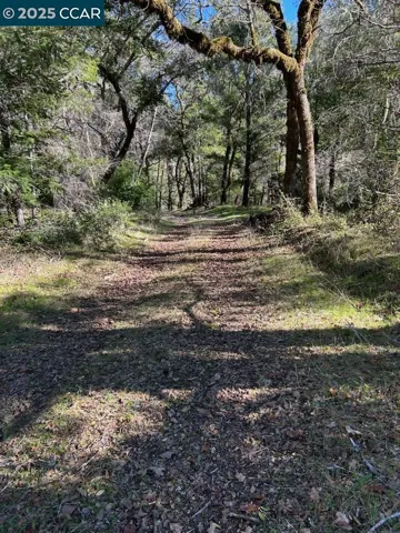 Discover State Park