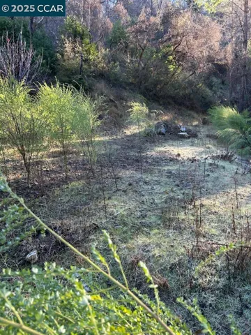 Second Meadow