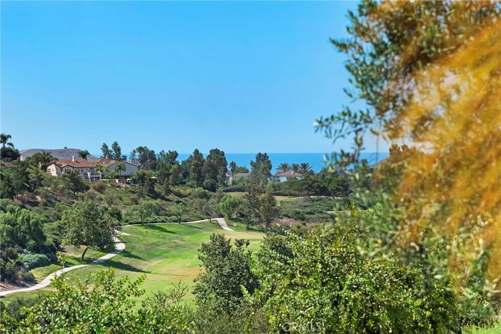 53 Calle Careyes, San Clemente, California 92673 home-pic-18