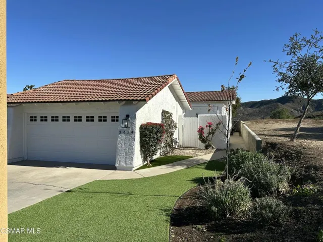 IMG_2809