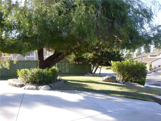 Front Yard