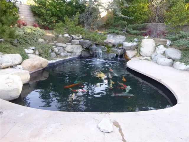 Koi Pond