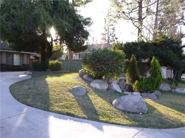 Front Yard