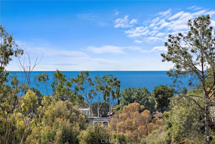 991 Meadowlark Drive, Laguna Beach, California 92651