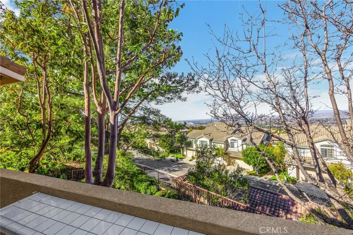 1005 S Gibraltar Avenue, Anaheim Hills, California 92808